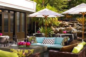 The Backyard at The W - Westwood - Los Angeles