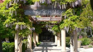 Bacchus Restaurant and Wine Bar - Rohnert Park