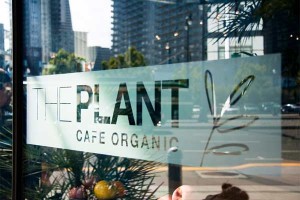 The Plant - Cafe Organic - San Francisco PERMANENTLY CLOSED