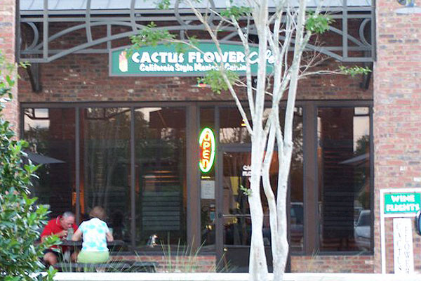 cactus flower pensacola happy hour